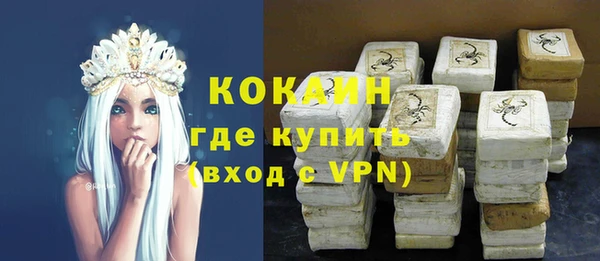гидра Абаза