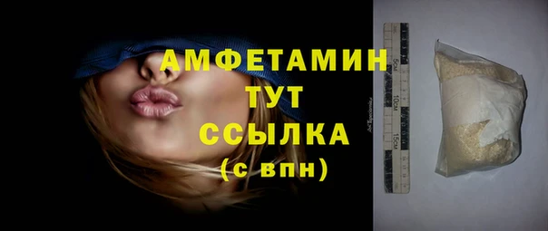гидра Абаза