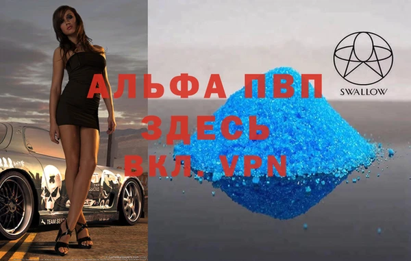 гидра Абаза