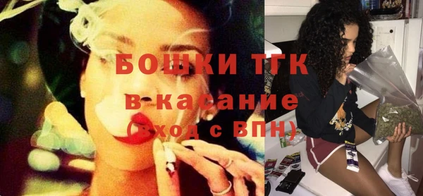 гидра Абаза
