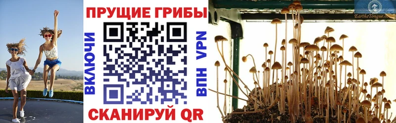 Псилоцибиновые грибы GOLDEN TEACHER Алейск
